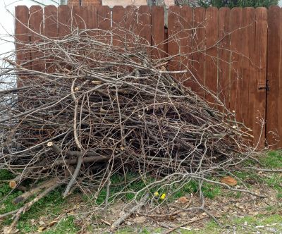 Brush Pile Clearing