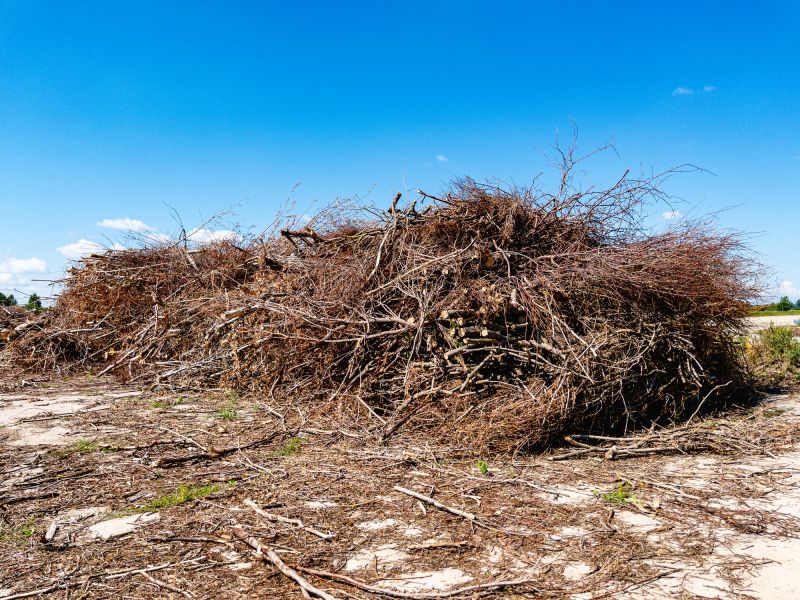 Brush Pile Clearing
