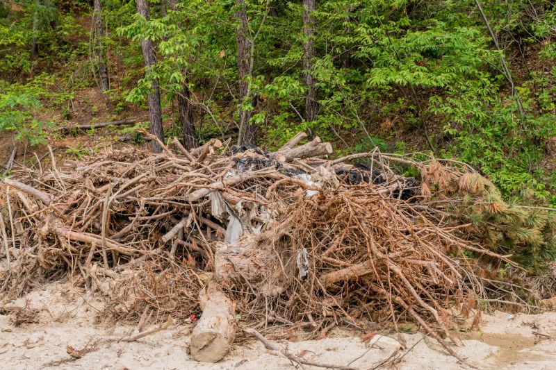 Seasonal Benefits of Brush Pile Removal