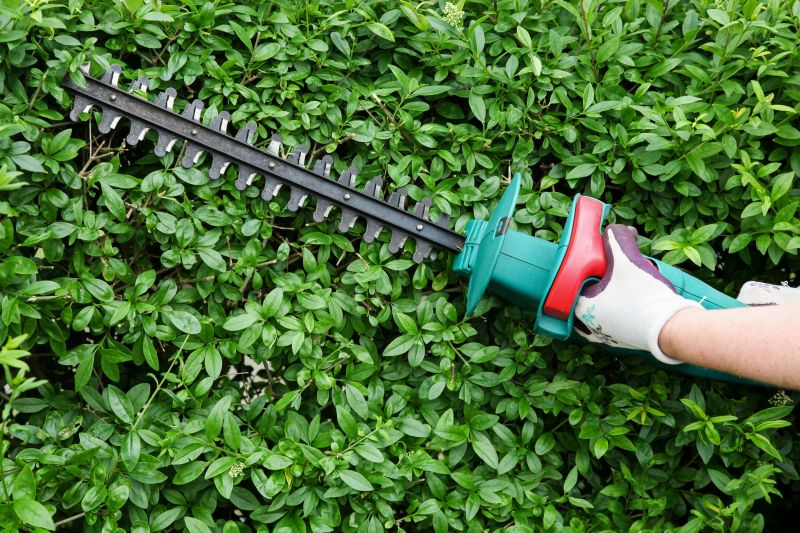 Evergreen Hedge Trimming in Honolulu, HI