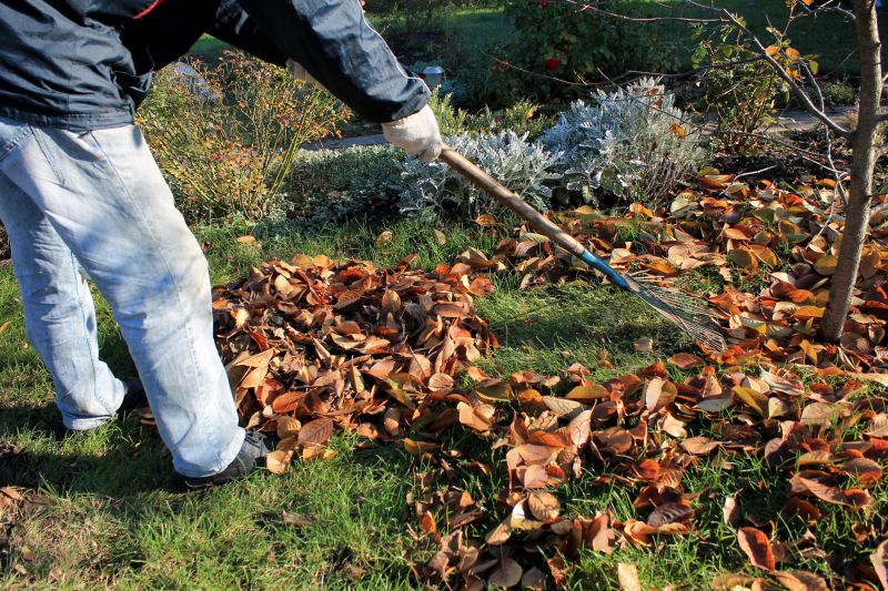 Landscaping Cleanup Service in Ventura County, CA
