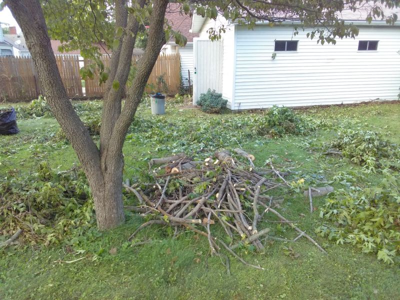 Landscaping Cleanup Service in Ventura County, CA