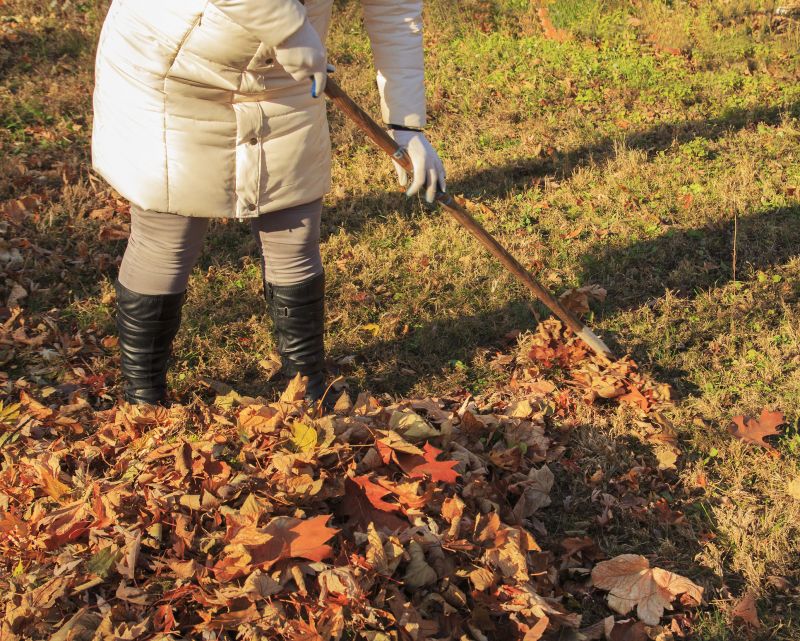 Leaf Raking Service in Ventura County, CA