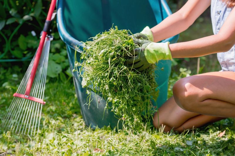 Leaf Raking Service in Honolulu, HI