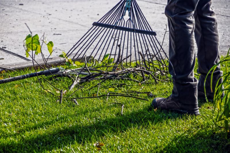 Pine Straw Raking in Honolulu, HI