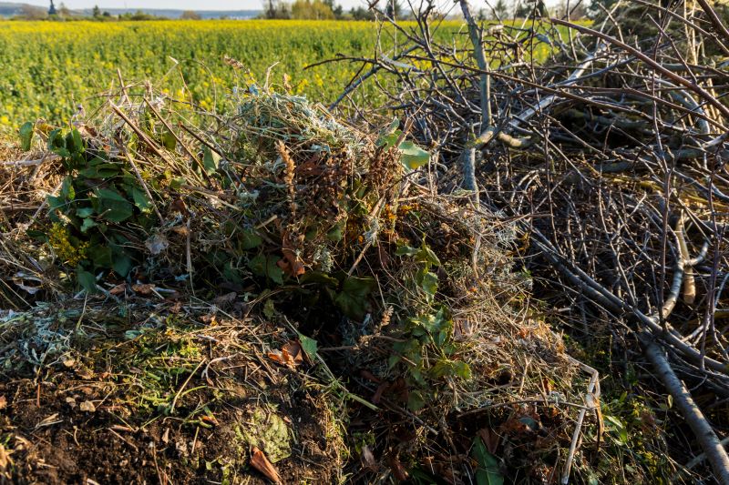 Products For Brush Pile Clearings in use