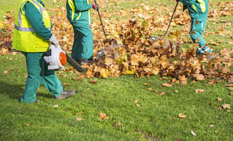 Spring Lawn Cleanup in Ventura County, CA