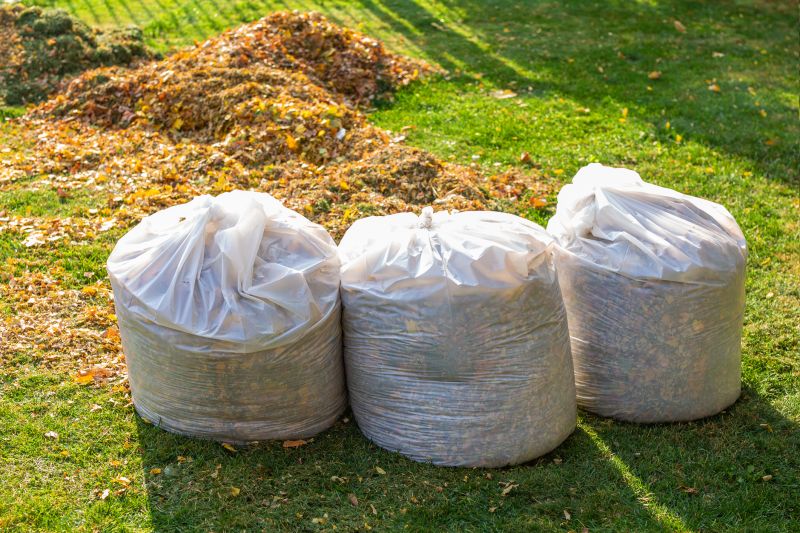 Spring Yard Cleanup in Honolulu, HI