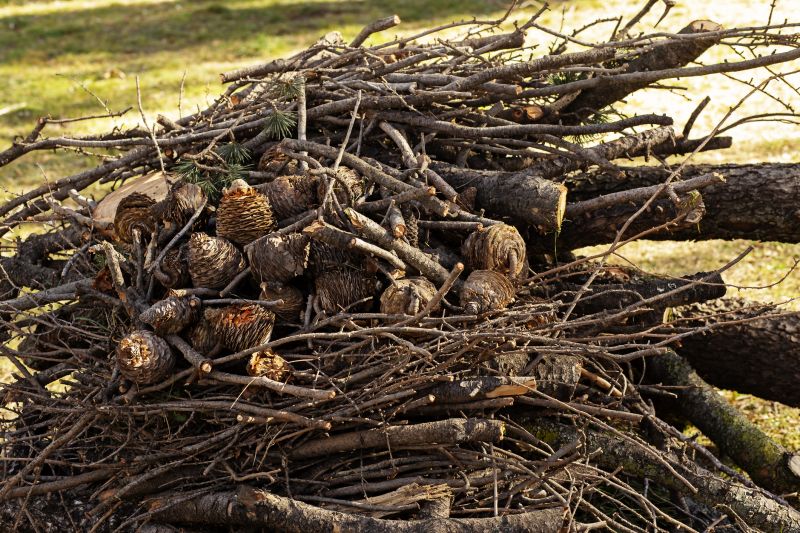 Tree Debris Removal in Ventura County, CA