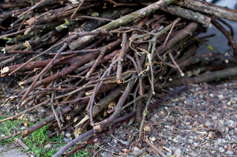 Tree Limb Cleanup in Honolulu, HI