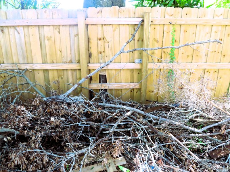 Brush Pile Clearing Service