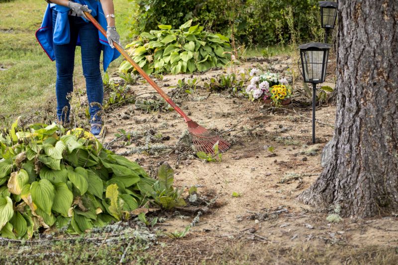 Contact About Brush Pile Clearing